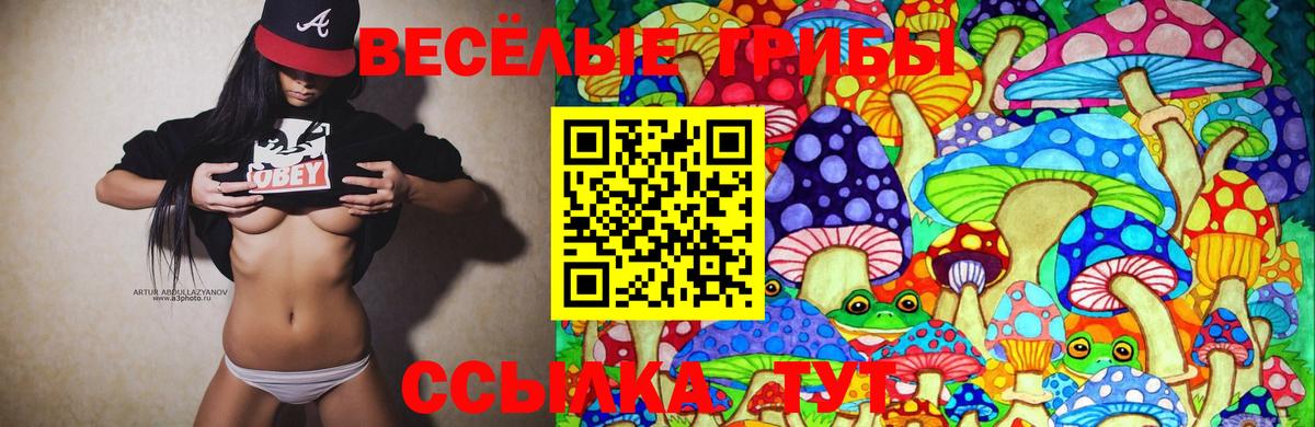 Искитим  Галлюциногенные грибы Psilocybe  Вход с VPN 